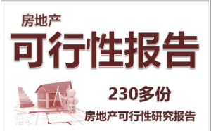 房地產(chǎn)項目可研報告模板