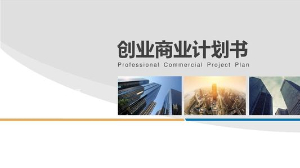創(chuàng)業(yè)公司商業(yè)計劃書
