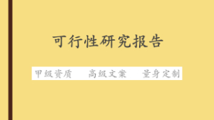 可行性研究報告怎么寫？