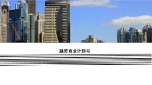 融資商業(yè)計劃書