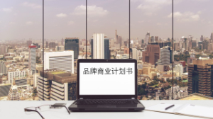 品牌策劃書