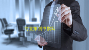 商業(yè)策劃書撰寫要素